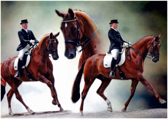 Tanja Plocher - klassische Ausbildung von Pferden und Reitern